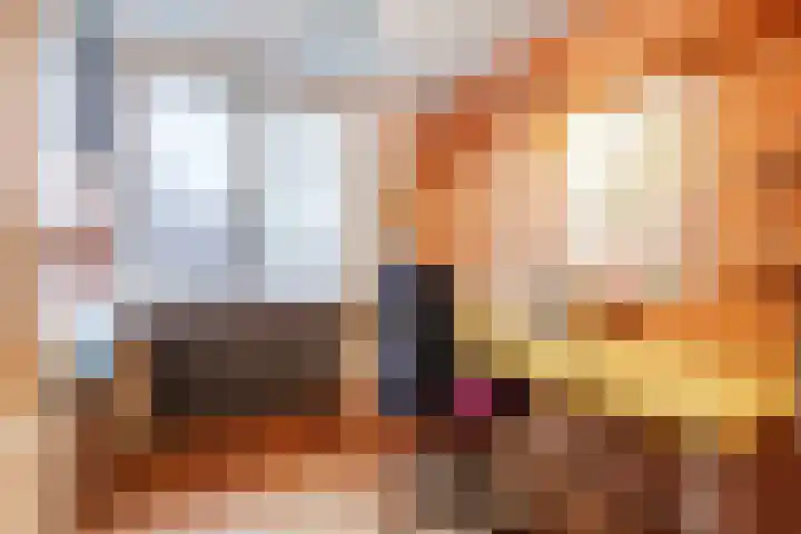Voorkamp 33 Beets thumbnail 24