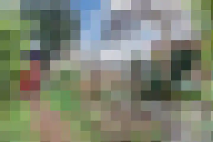 Voorkamp 33 Beets thumbnail 44