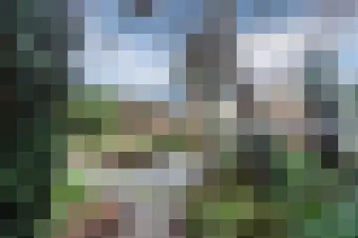 Voorkamp 33 Beets thumbnail 46