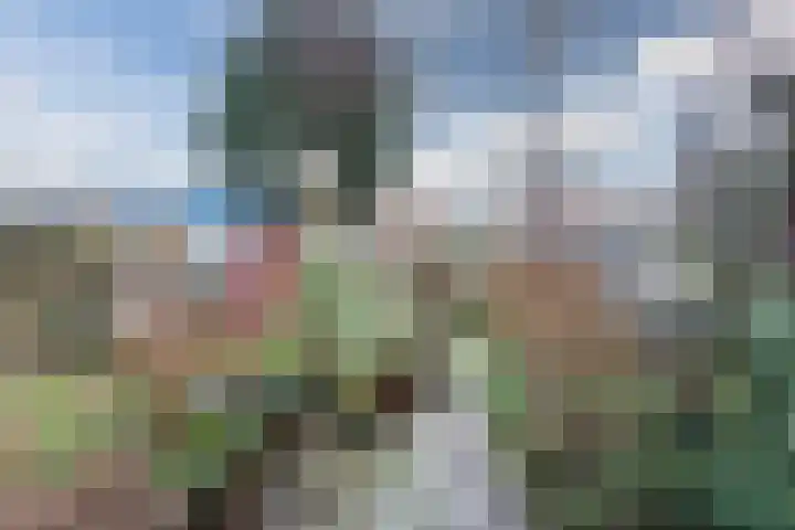 Voorkamp 33 Beets thumbnail 47