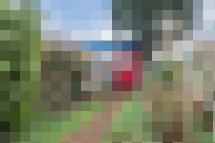 Voorkamp 33 Beets thumbnail 48
