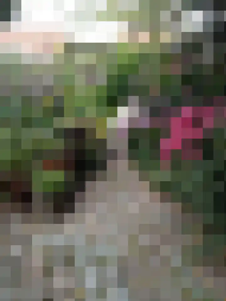 Voorkamp 33 Beets thumbnail 50