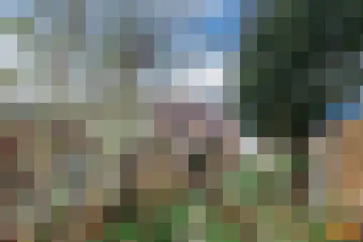 Voorkamp 33 Beets thumbnail 52