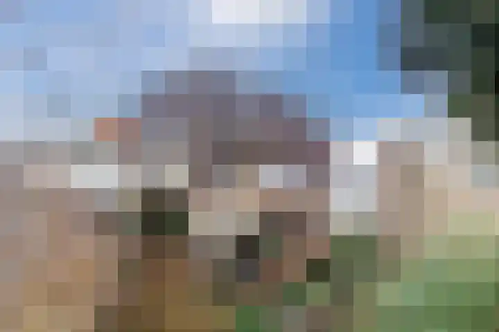 Voorkamp 33 Beets thumbnail 53