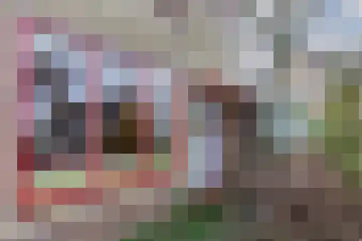 Voorkamp 33 Beets thumbnail 54