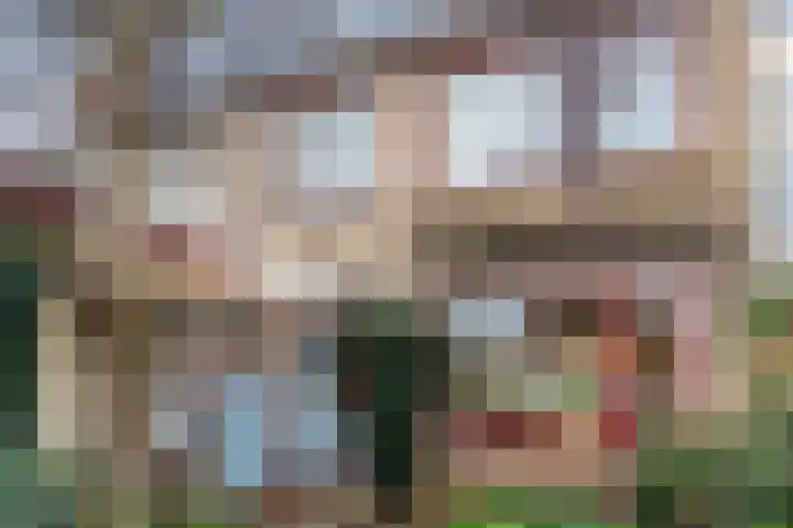Voorkamp 33 Beets thumbnail 55