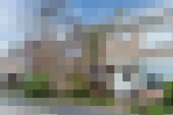 Voorkamp 33 Beets thumbnail 57