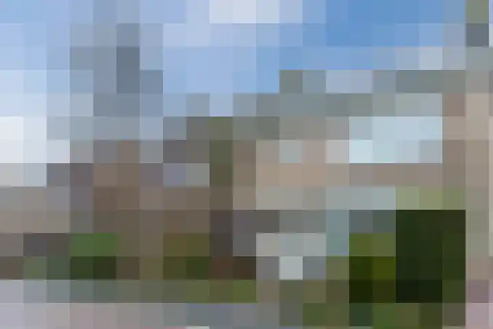 Voorkamp 33 Beets thumbnail 58