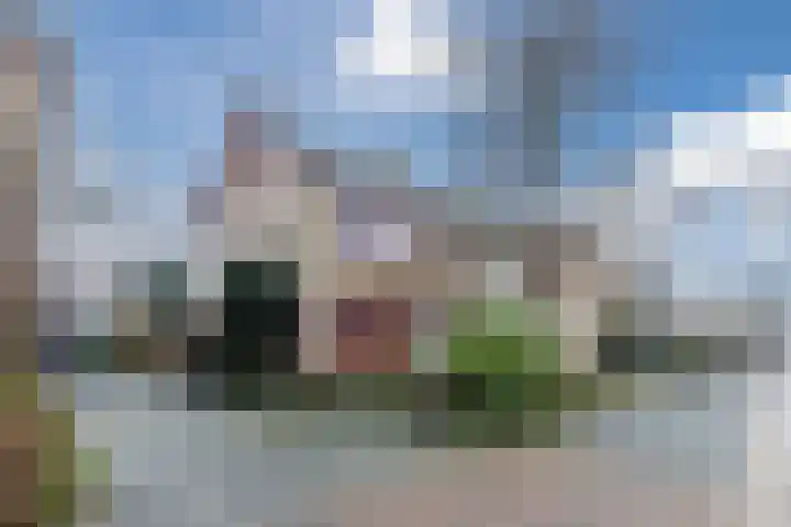 Voorkamp 33 Beets thumbnail 59