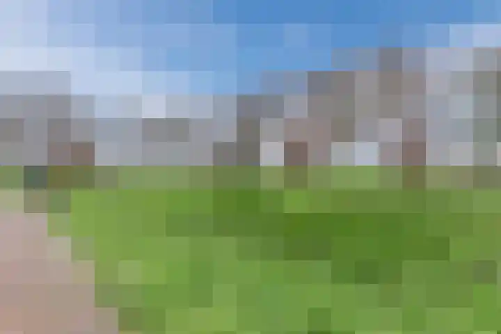 Voorkamp 33 Beets thumbnail 61