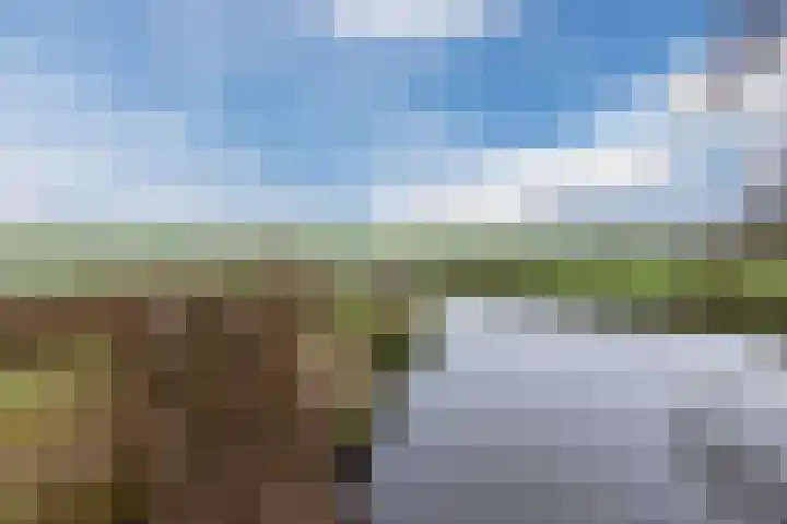 Voorkamp 33 Beets thumbnail 62