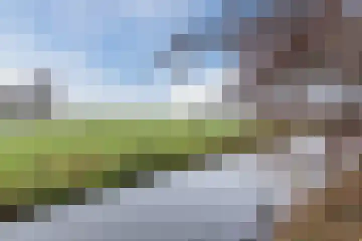 Voorkamp 33 Beets thumbnail 63