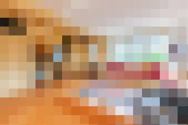 Voorkamp 33 Beets thumbnail 7