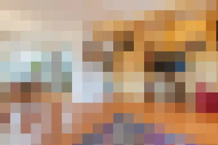 Voorkamp 33 Beets thumbnail 9