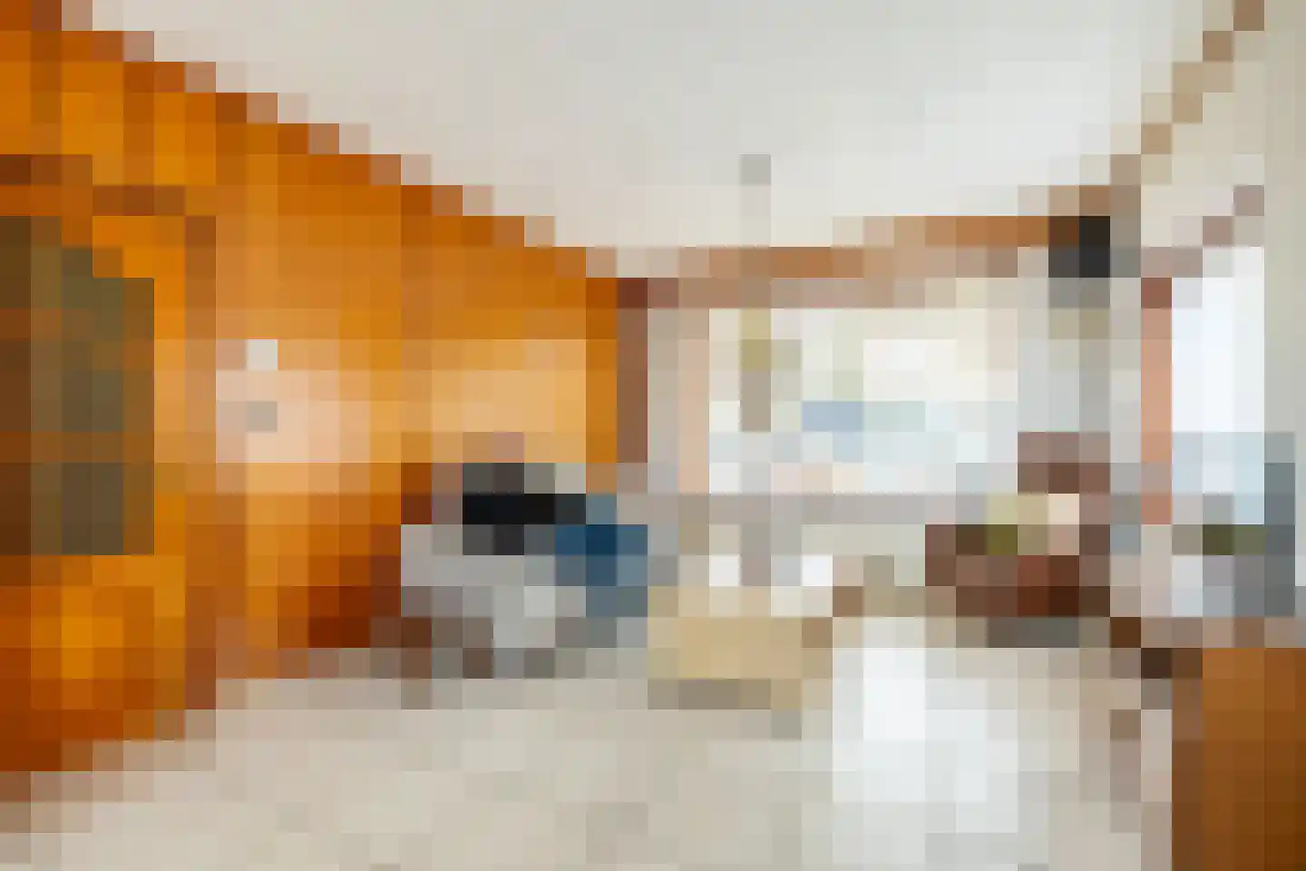Voorkamp 40 Beets thumbnail 13