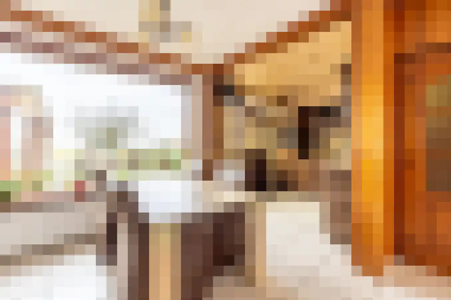 Voorkamp 40 Beets thumbnail 18