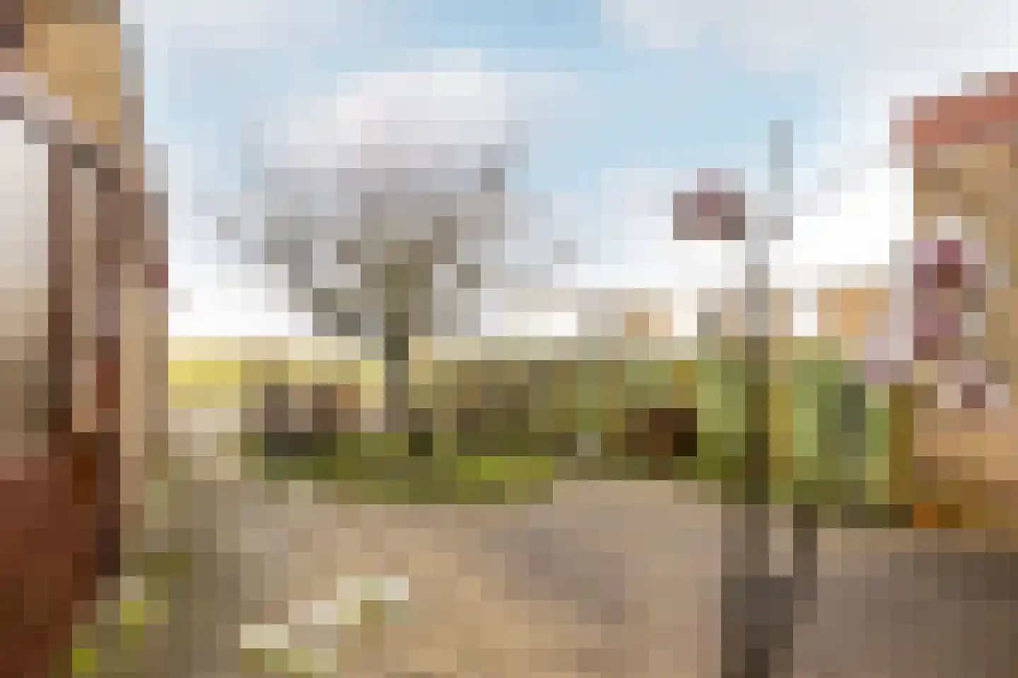 Voorkamp 40 Beets thumbnail 19