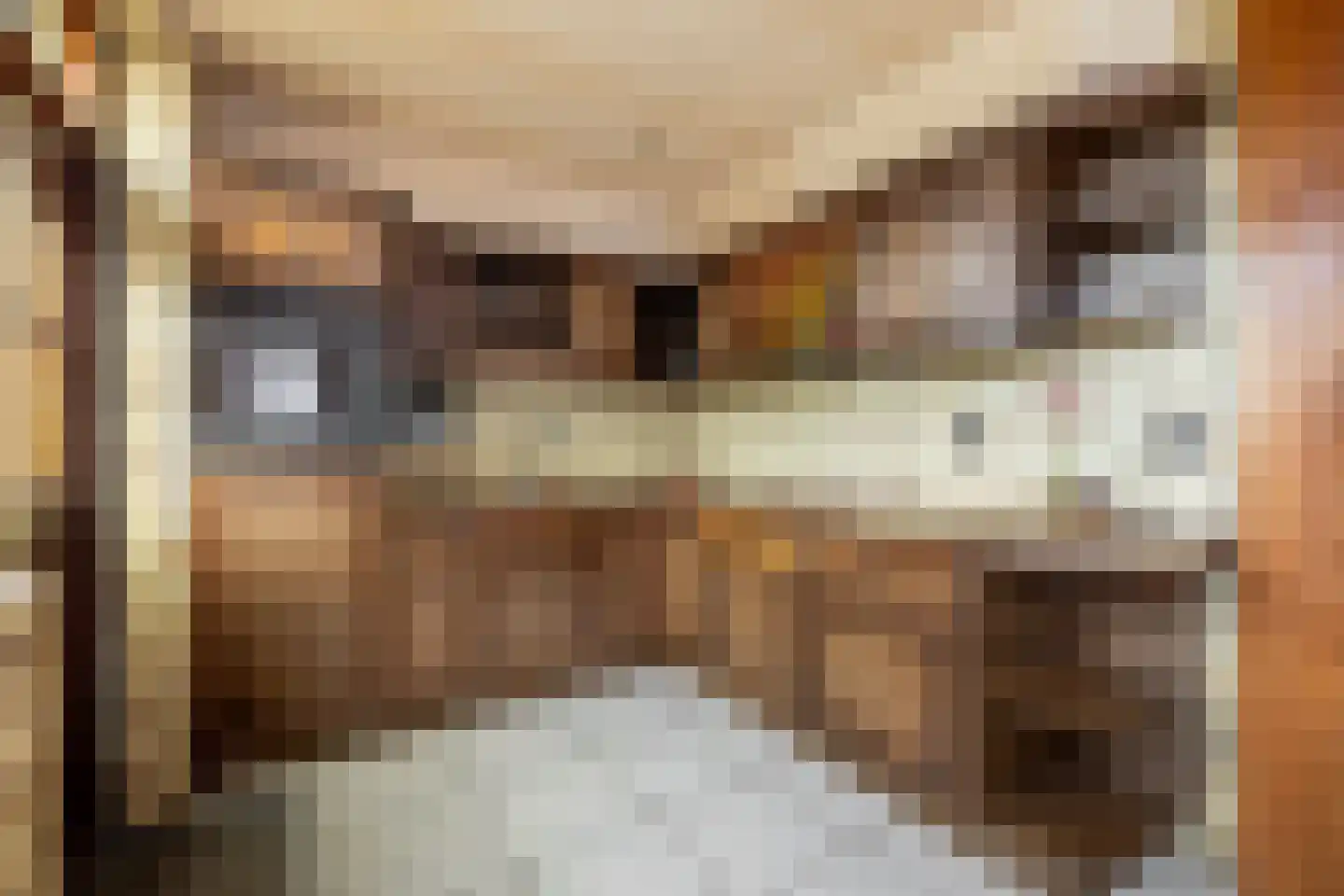 Voorkamp 40 Beets thumbnail 20