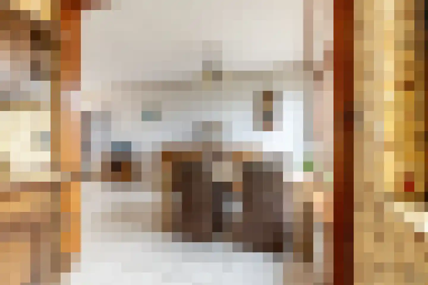 Voorkamp 40 Beets thumbnail 22