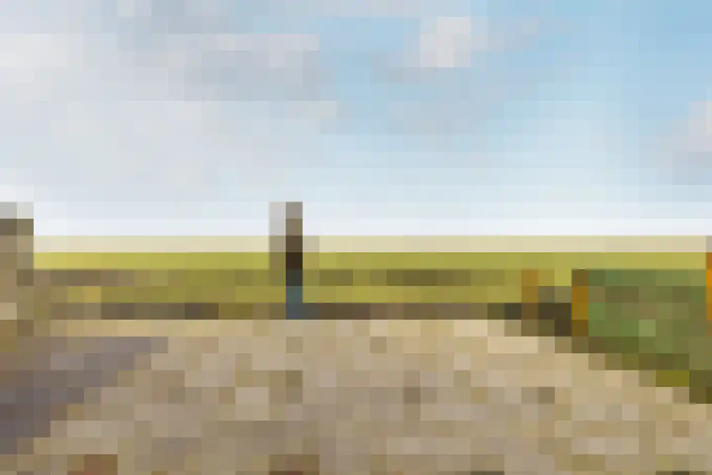 Voorkamp 40 Beets thumbnail 38