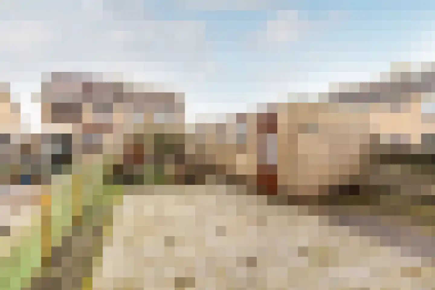 Voorkamp 40 Beets thumbnail 4