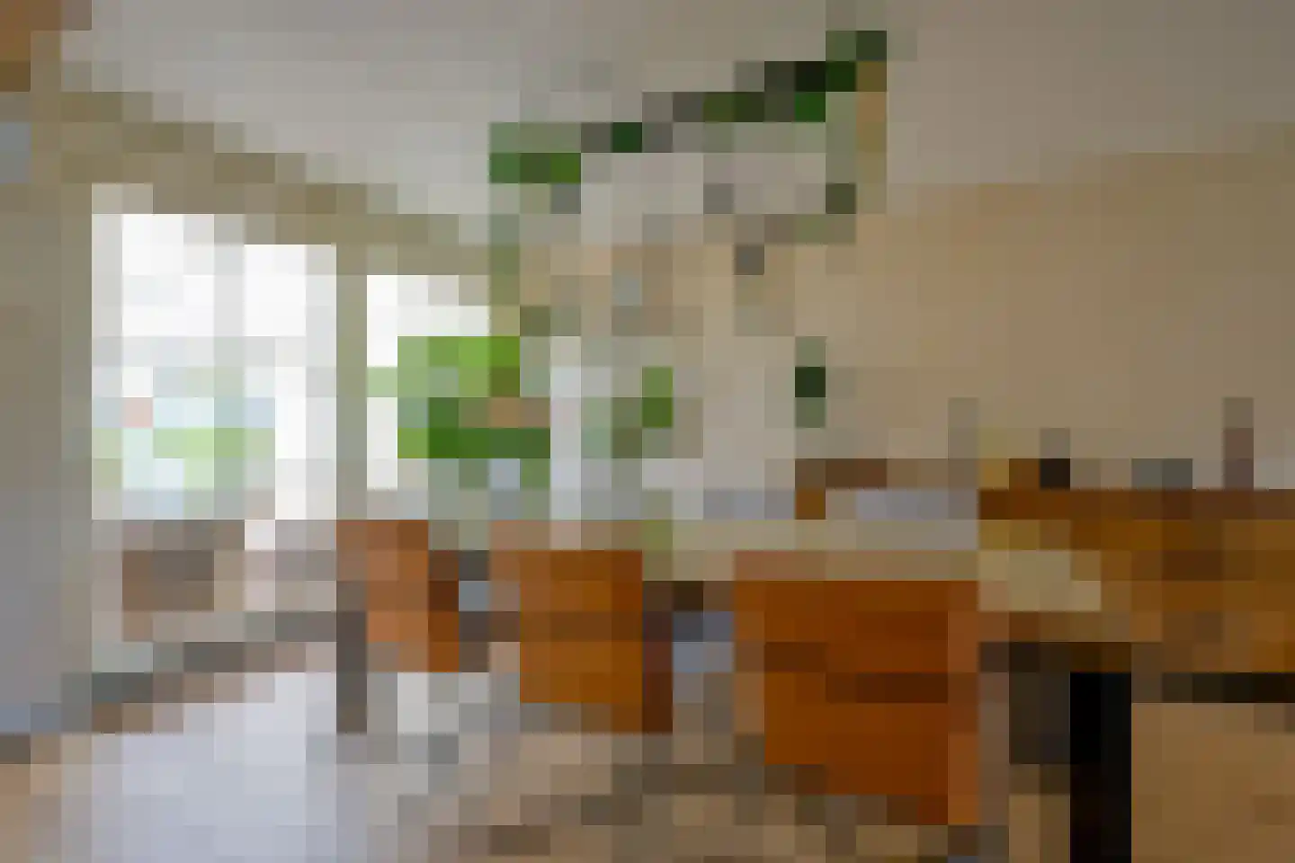 Voorkamp 6 Beets thumbnail 11