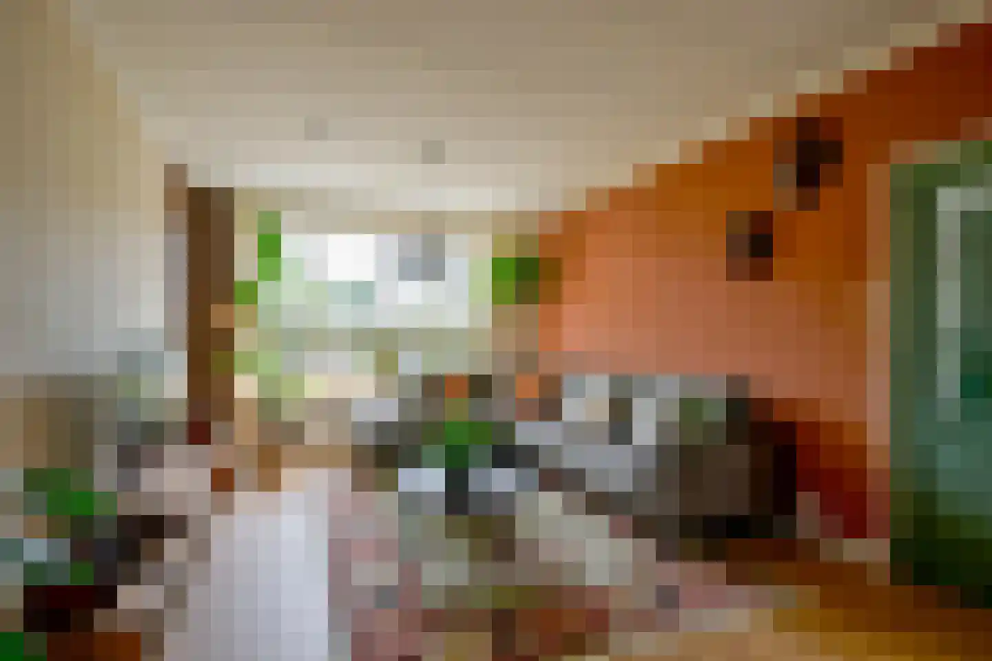 Voorkamp 6 Beets thumbnail 13