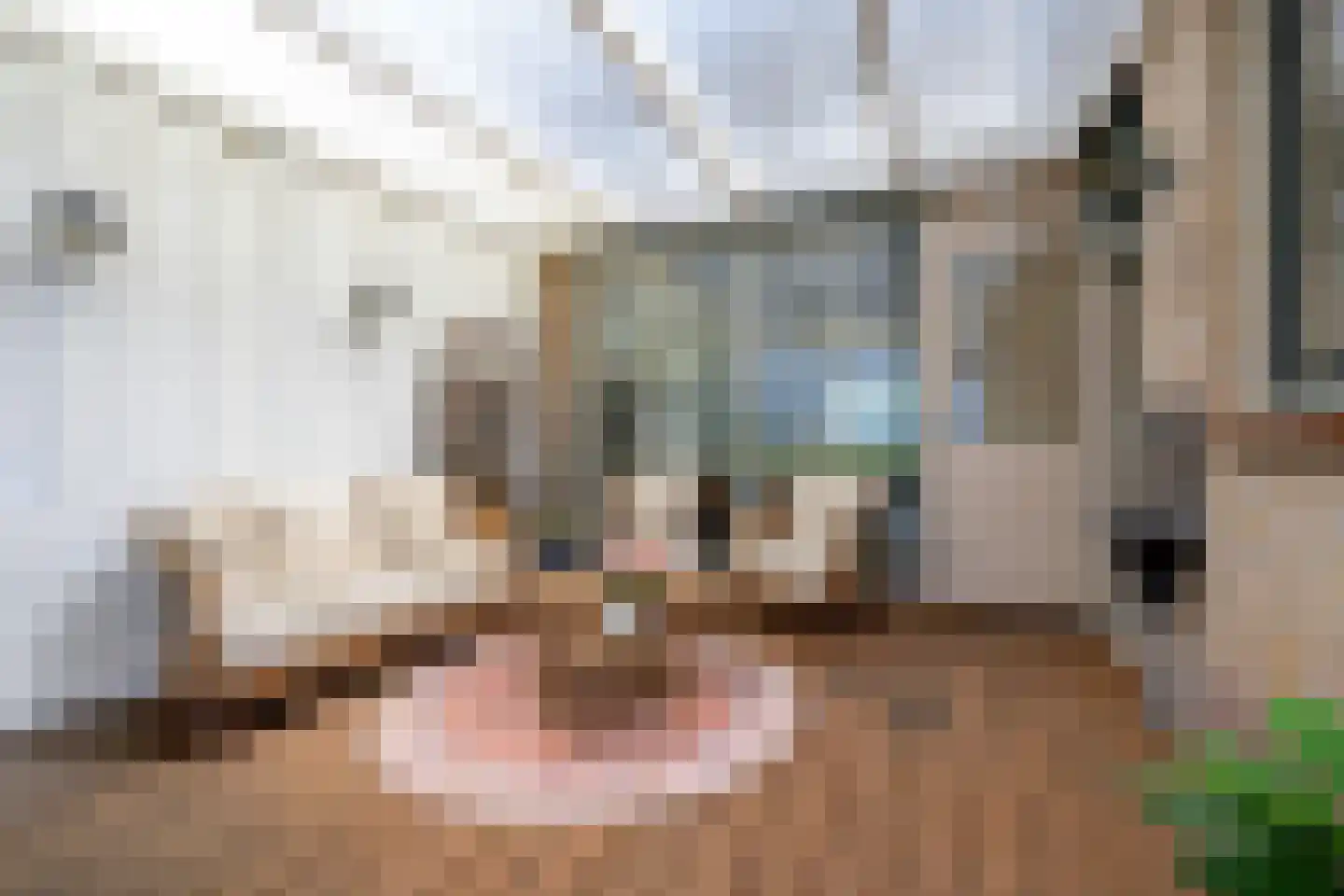 Voorkamp 6 Beets thumbnail 14