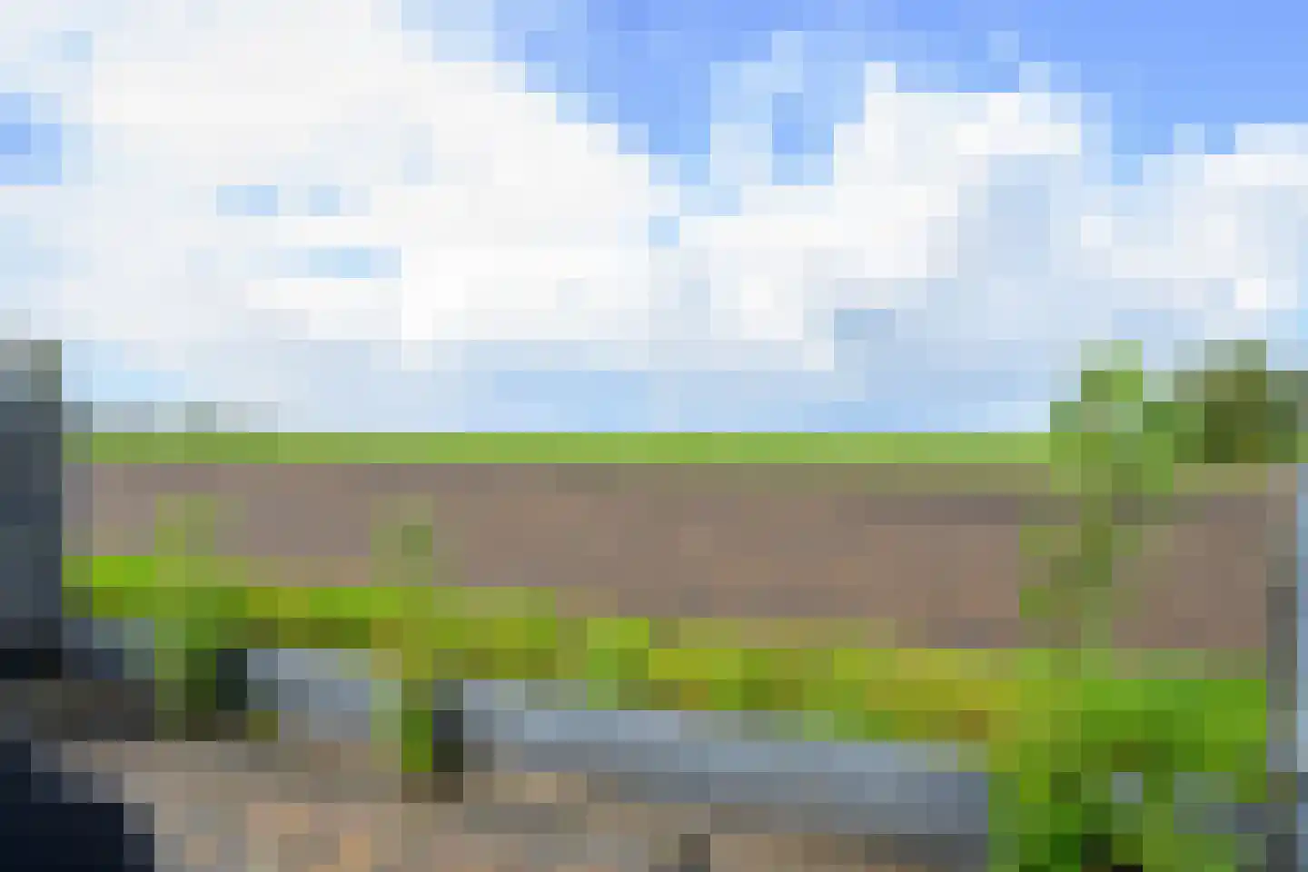Voorkamp 6 Beets thumbnail 35