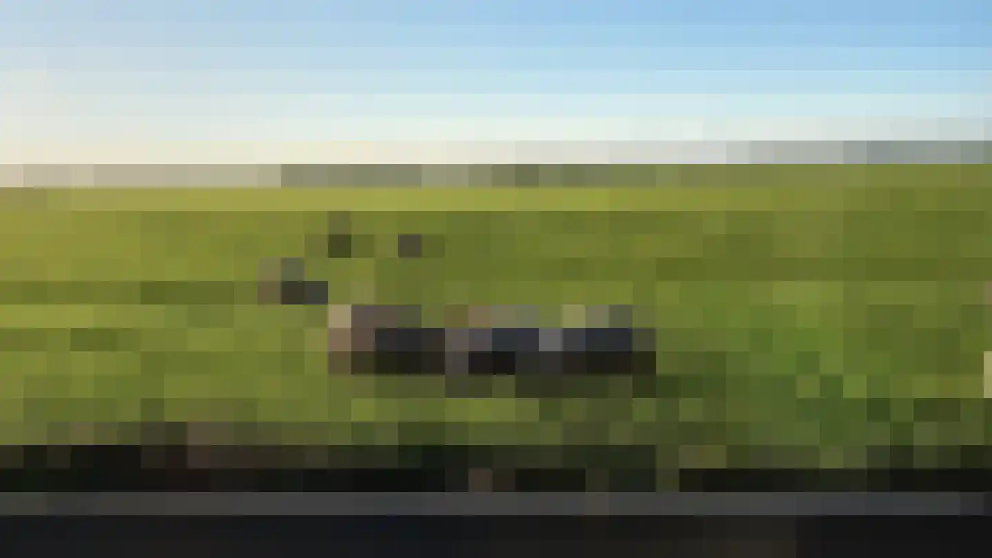 Voorkamp 6 Beets thumbnail 37