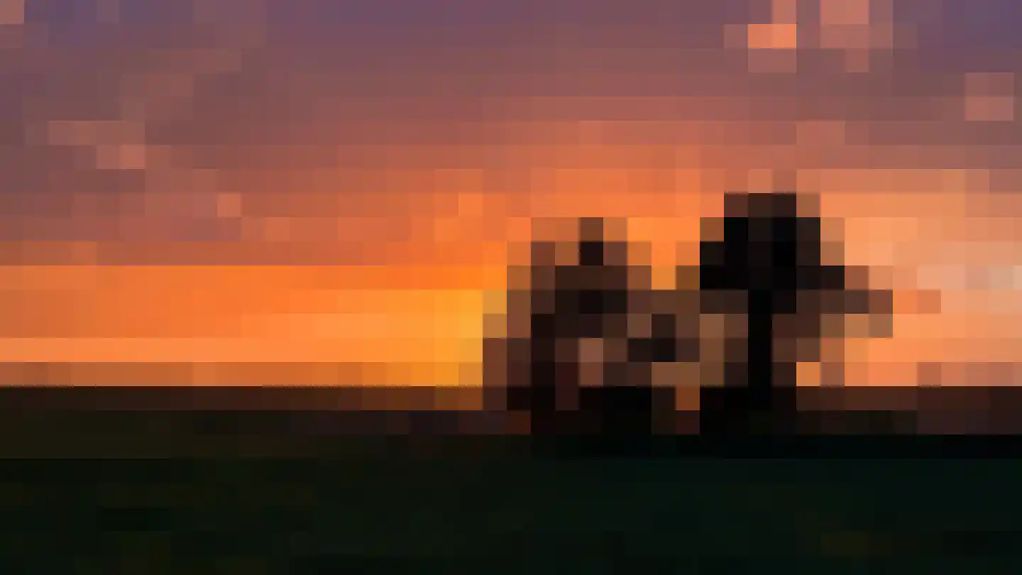 Voorkamp 6 Beets thumbnail 38