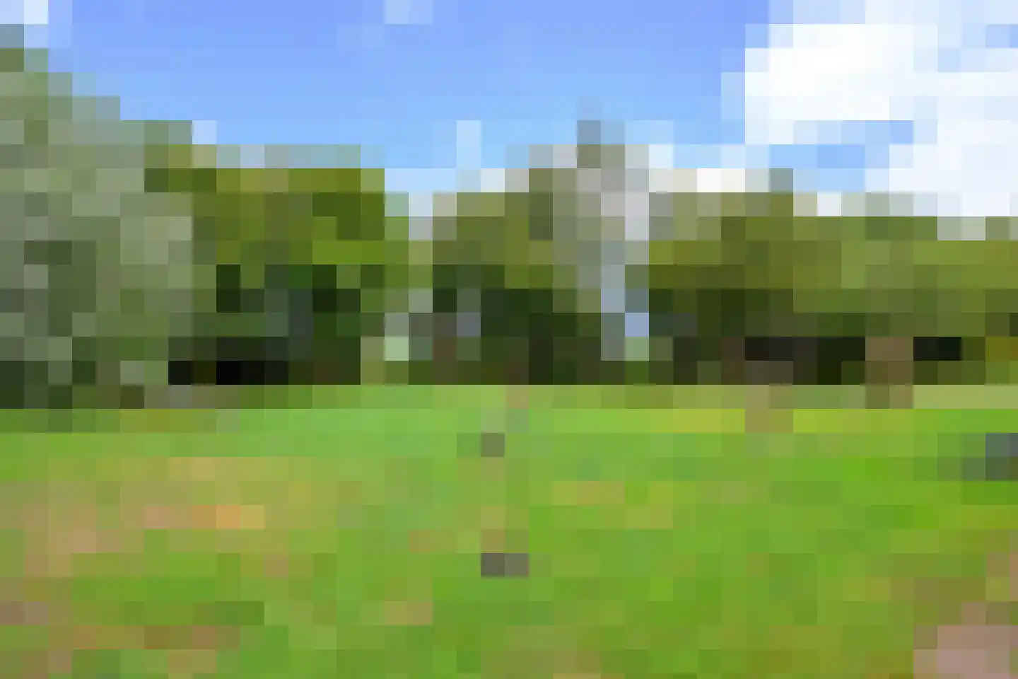 Voorkamp 6 Beets thumbnail 39