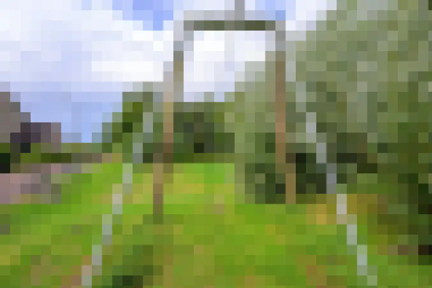 Voorkamp 6 Beets thumbnail 40