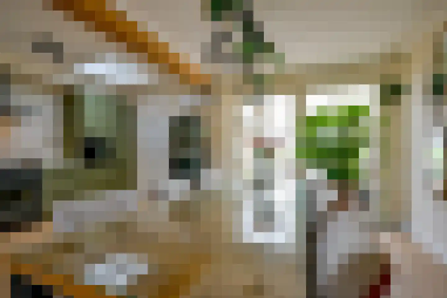 Voorkamp 6 Beets thumbnail 5
