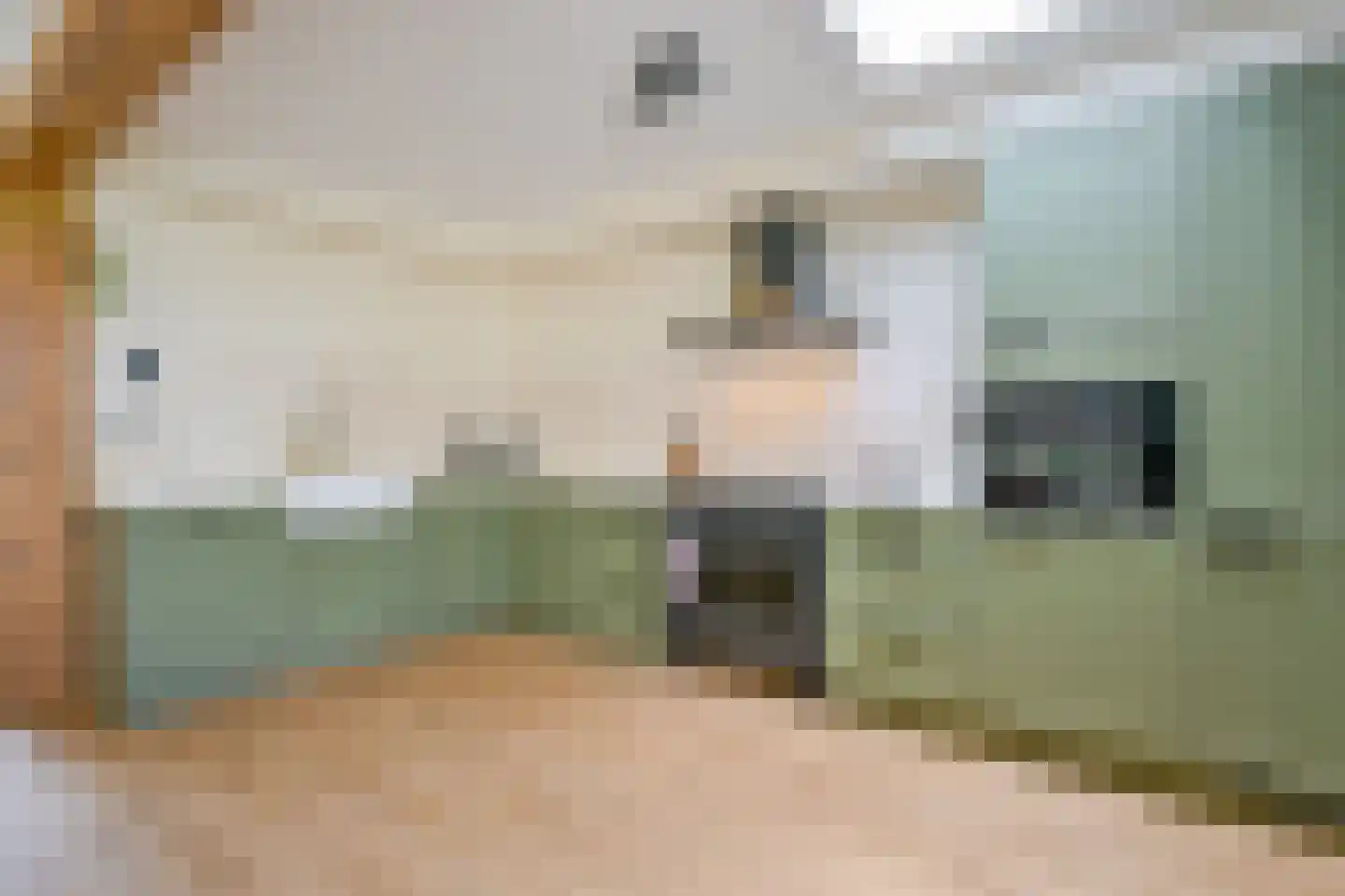 Voorkamp 6 Beets thumbnail 7
