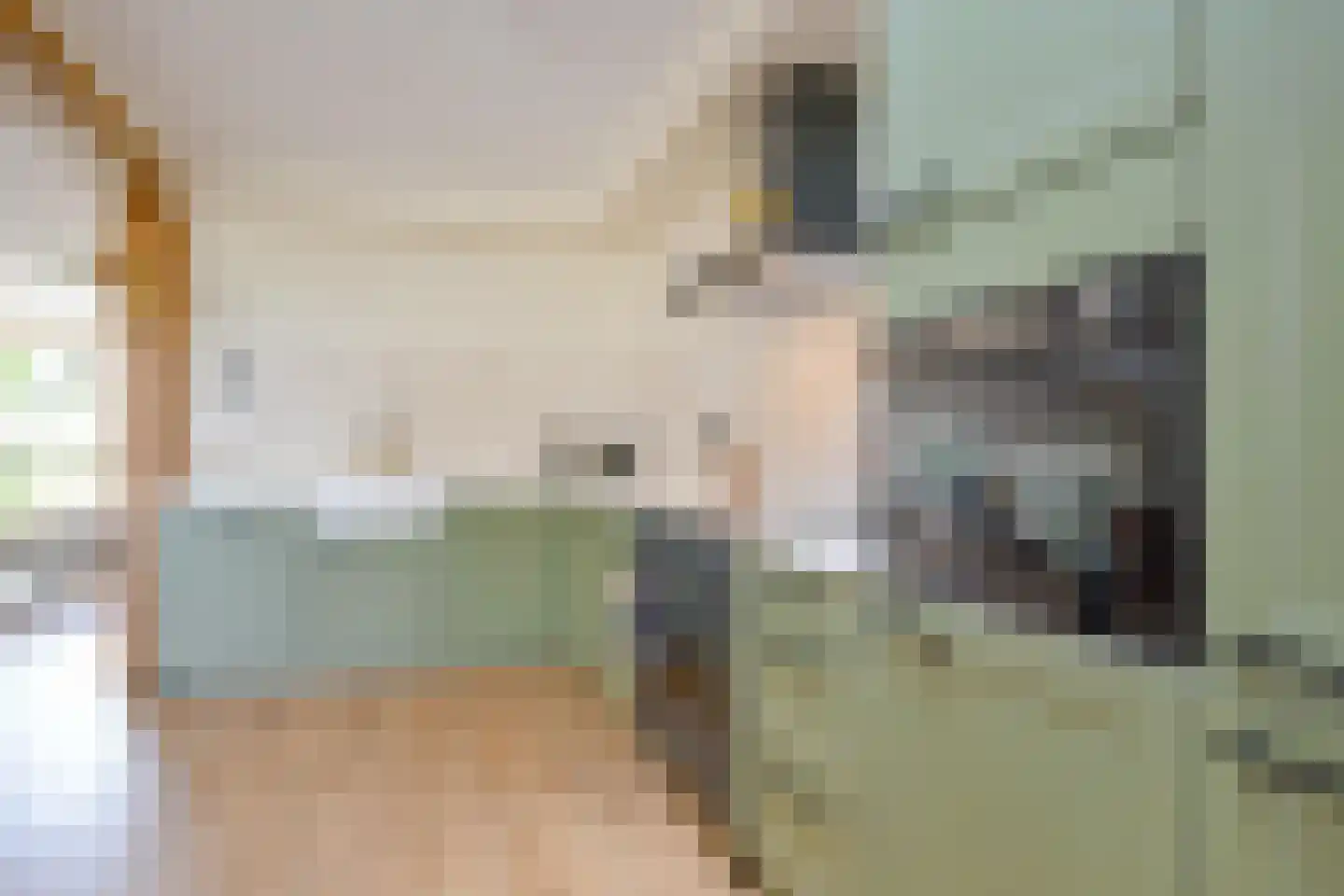 Voorkamp 6 Beets thumbnail 8