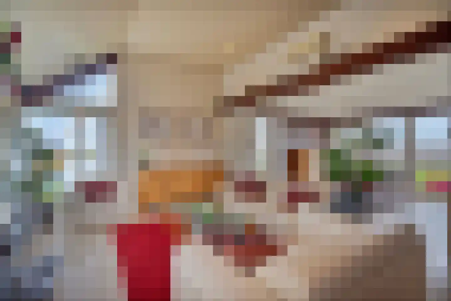 Voorlaan 5 Bleiswijk thumbnail 15