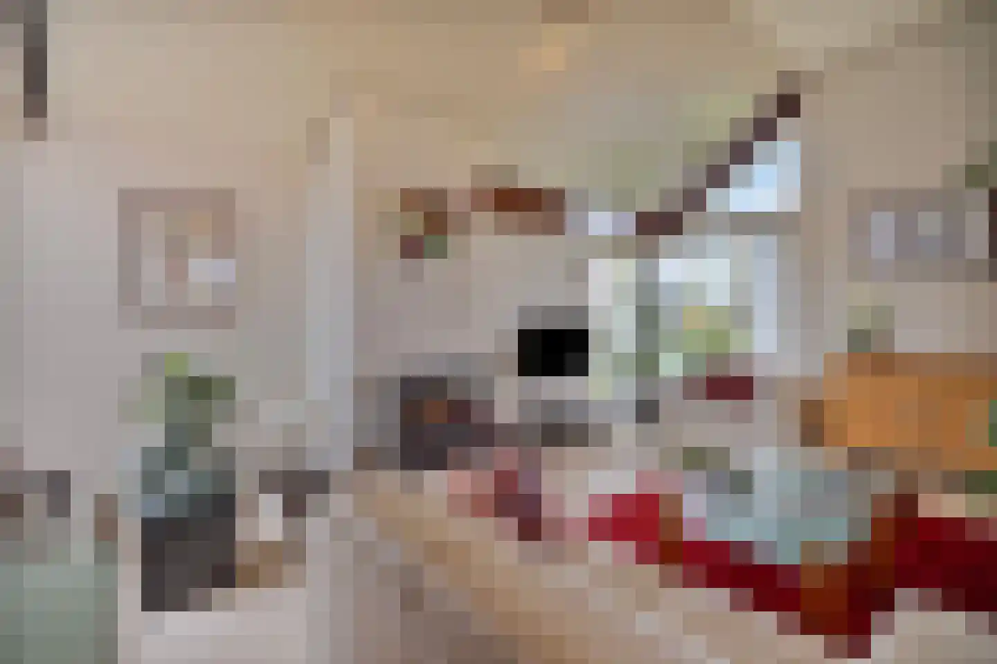 Voorlaan 5 Bleiswijk thumbnail 17