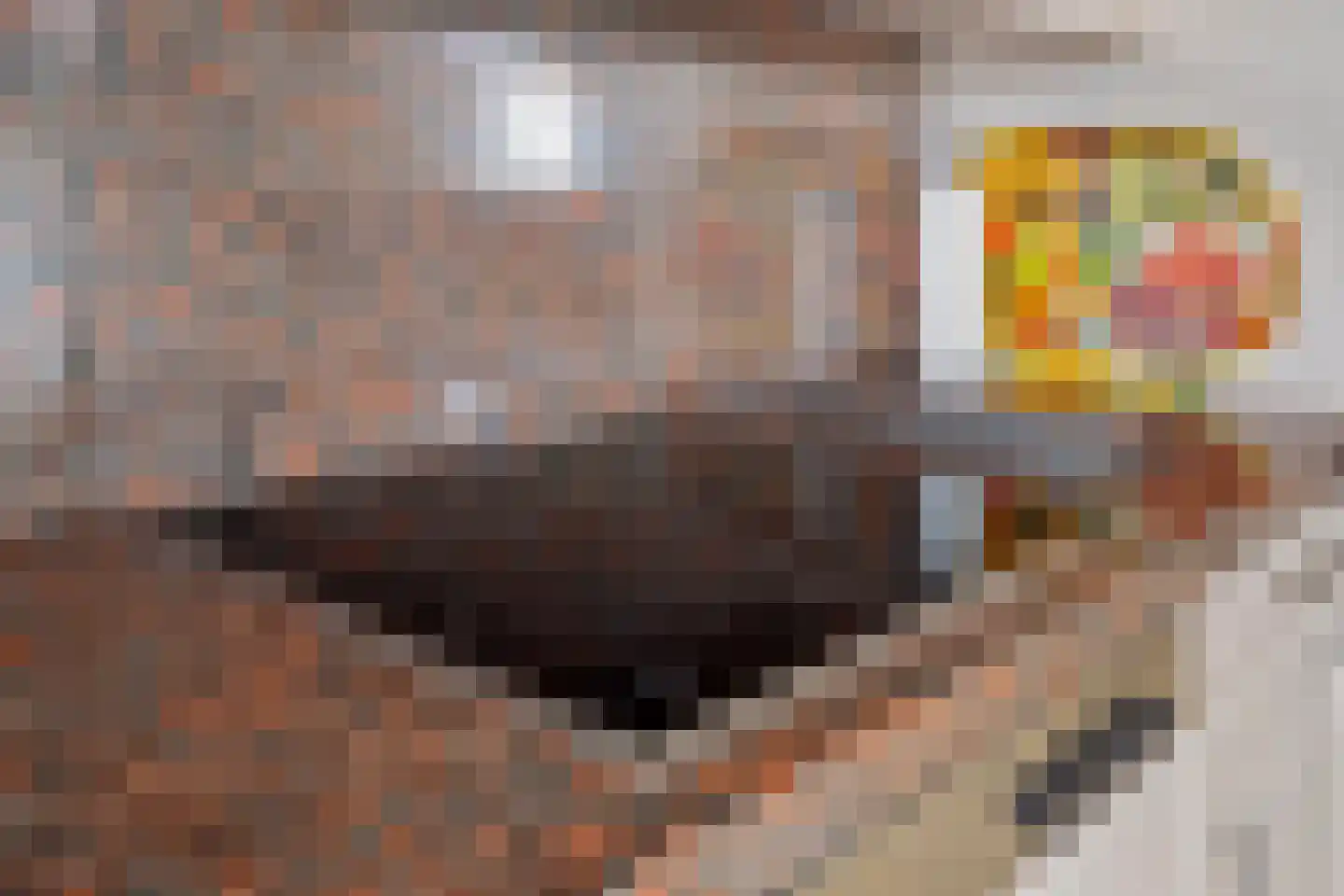 Voorlaan 5 Bleiswijk thumbnail 26