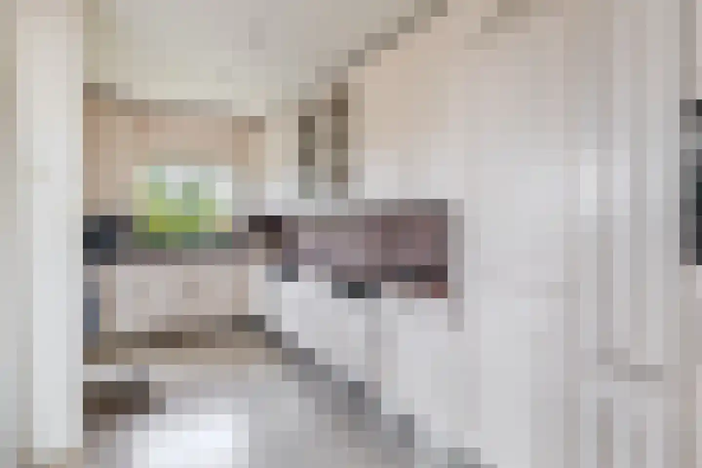 Voorlaan 5 Bleiswijk thumbnail 28
