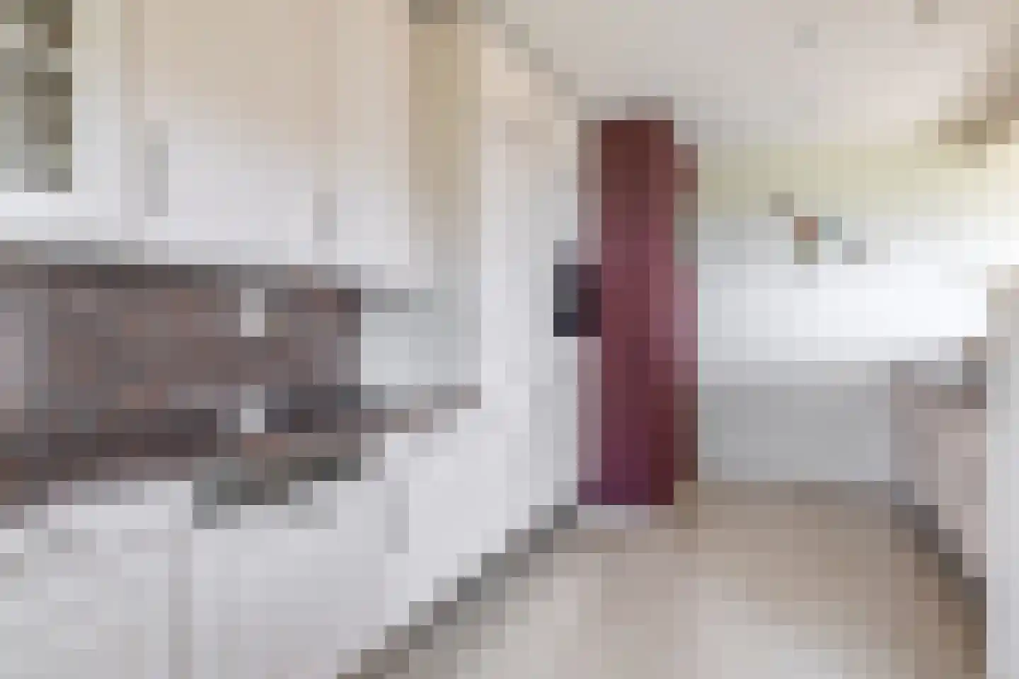 Voorlaan 5 Bleiswijk thumbnail 31