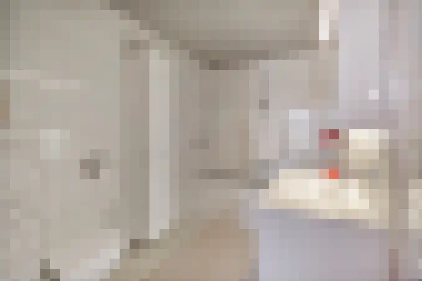 Voorlaan 5 Bleiswijk thumbnail 4