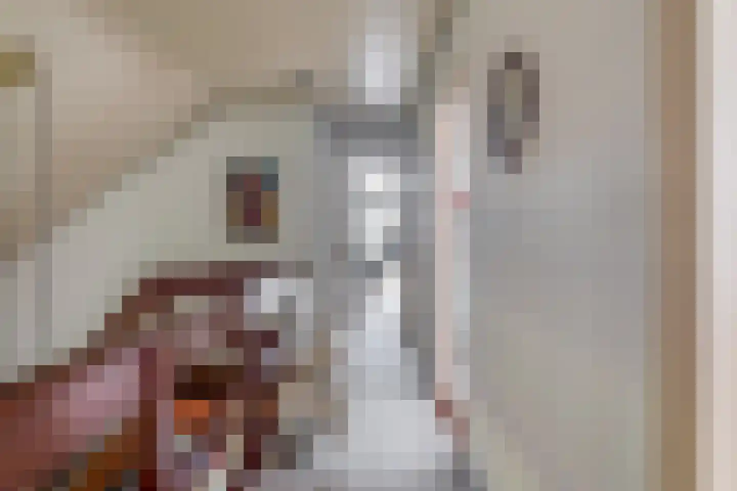 Voorlaan 5 Bleiswijk thumbnail 45