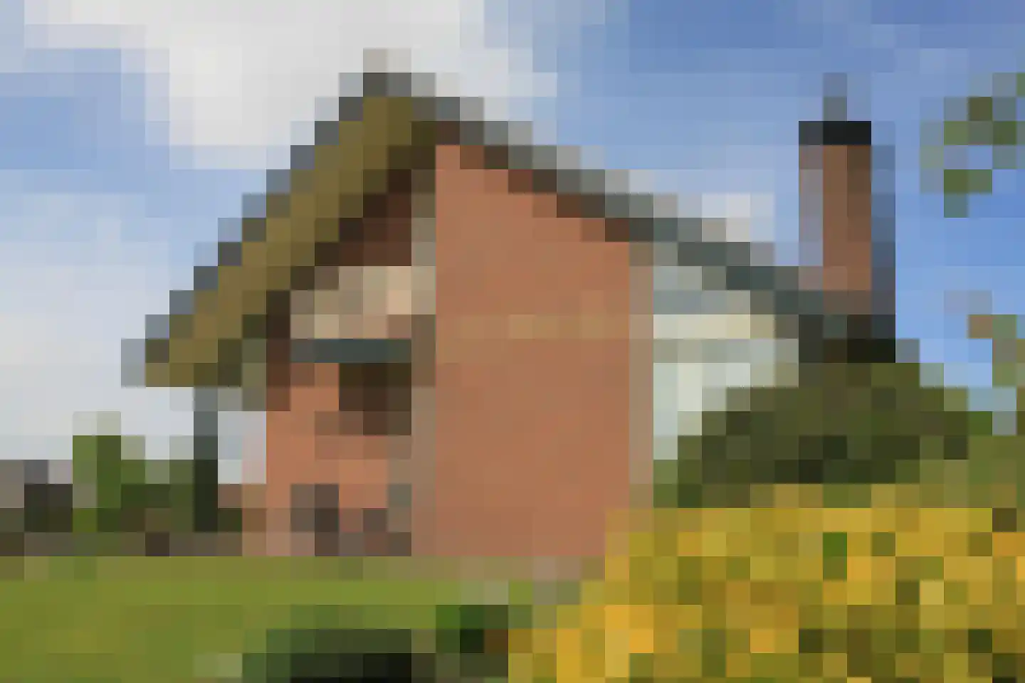 Voorlaan 5 Bleiswijk thumbnail 47