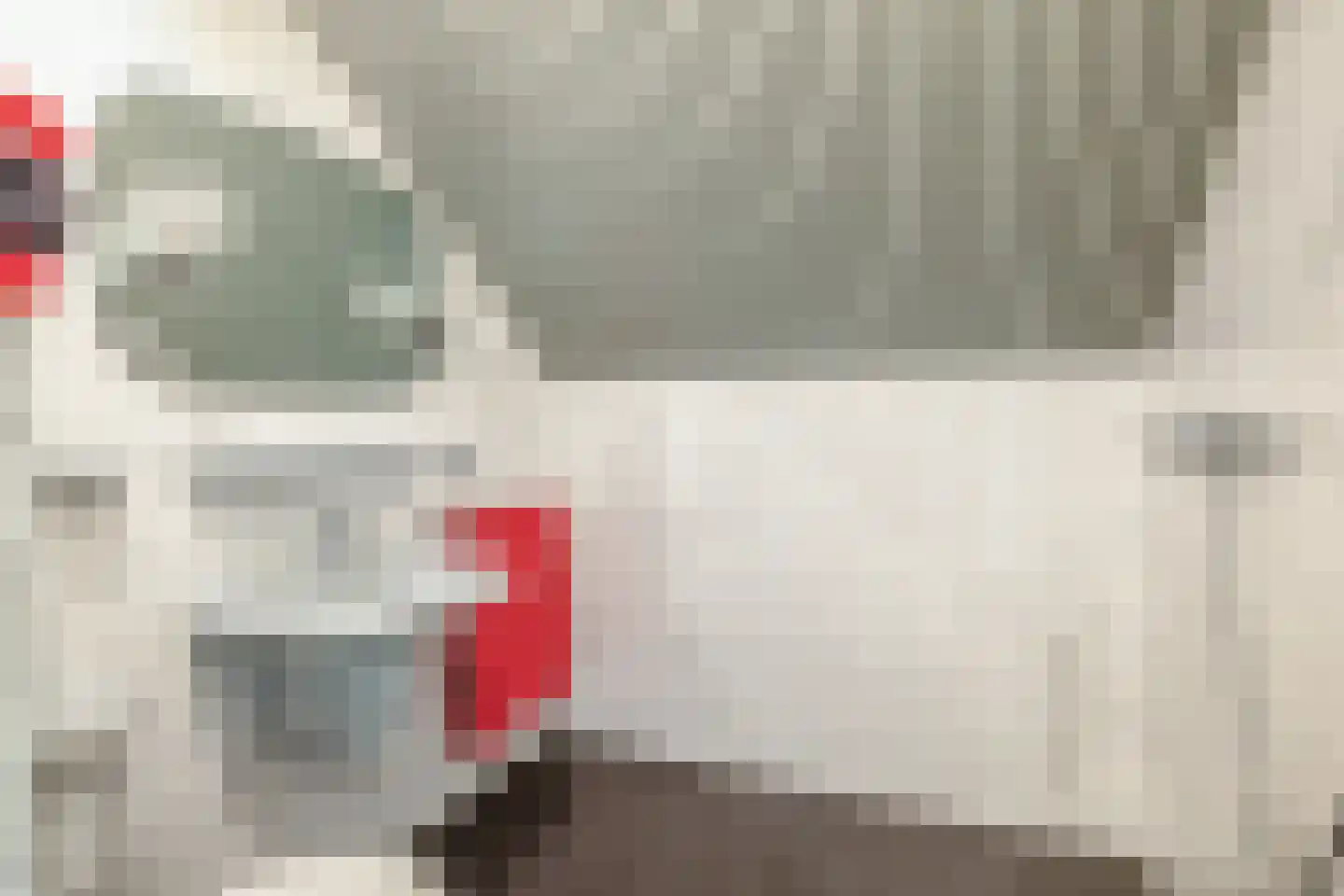Voorlaan 5 Bleiswijk thumbnail 50