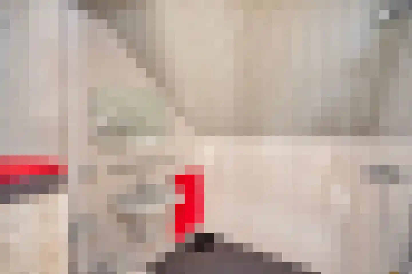Voorlaan 5 Bleiswijk thumbnail 56