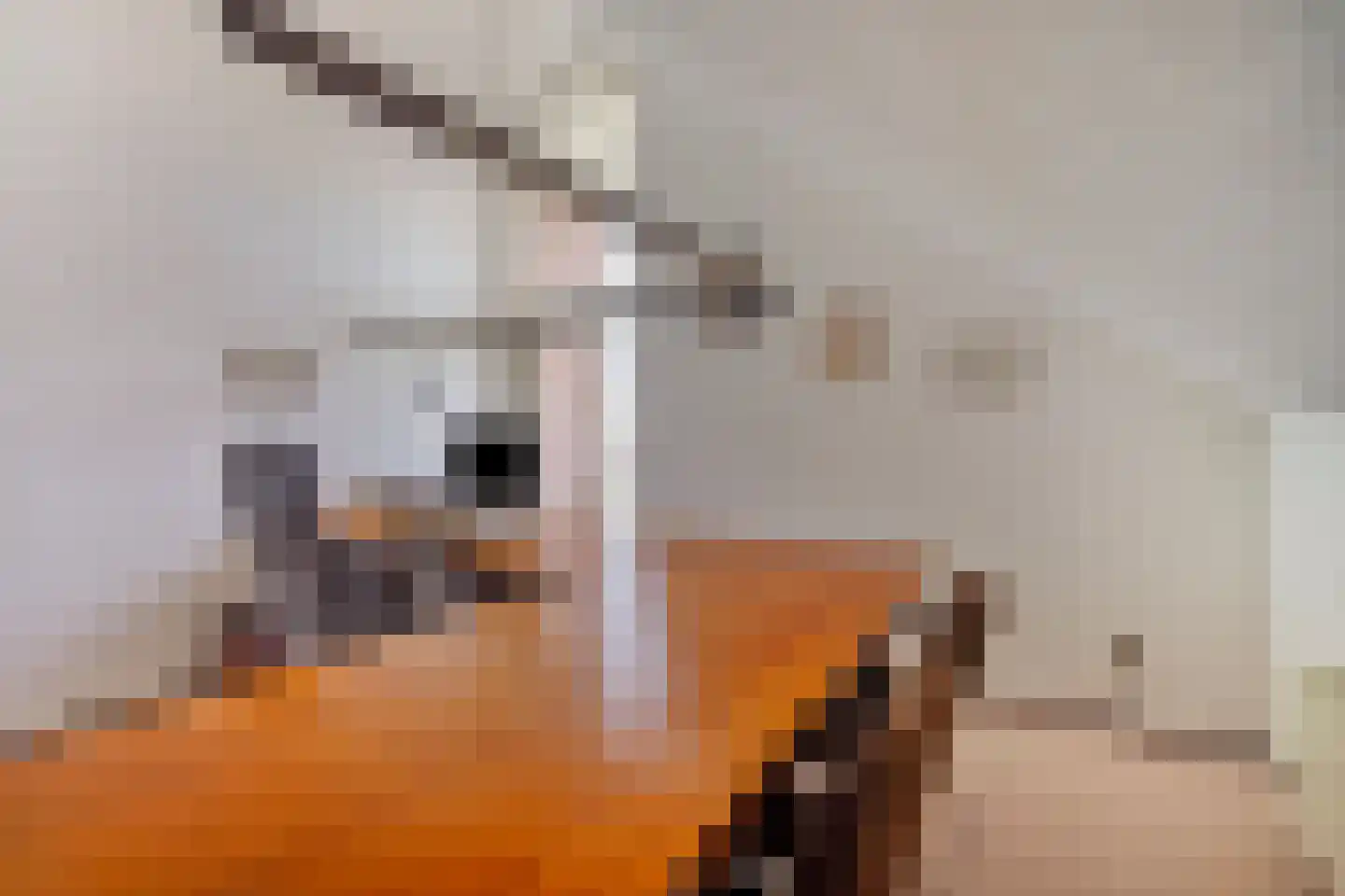 Voorlaan 5 Bleiswijk thumbnail 62