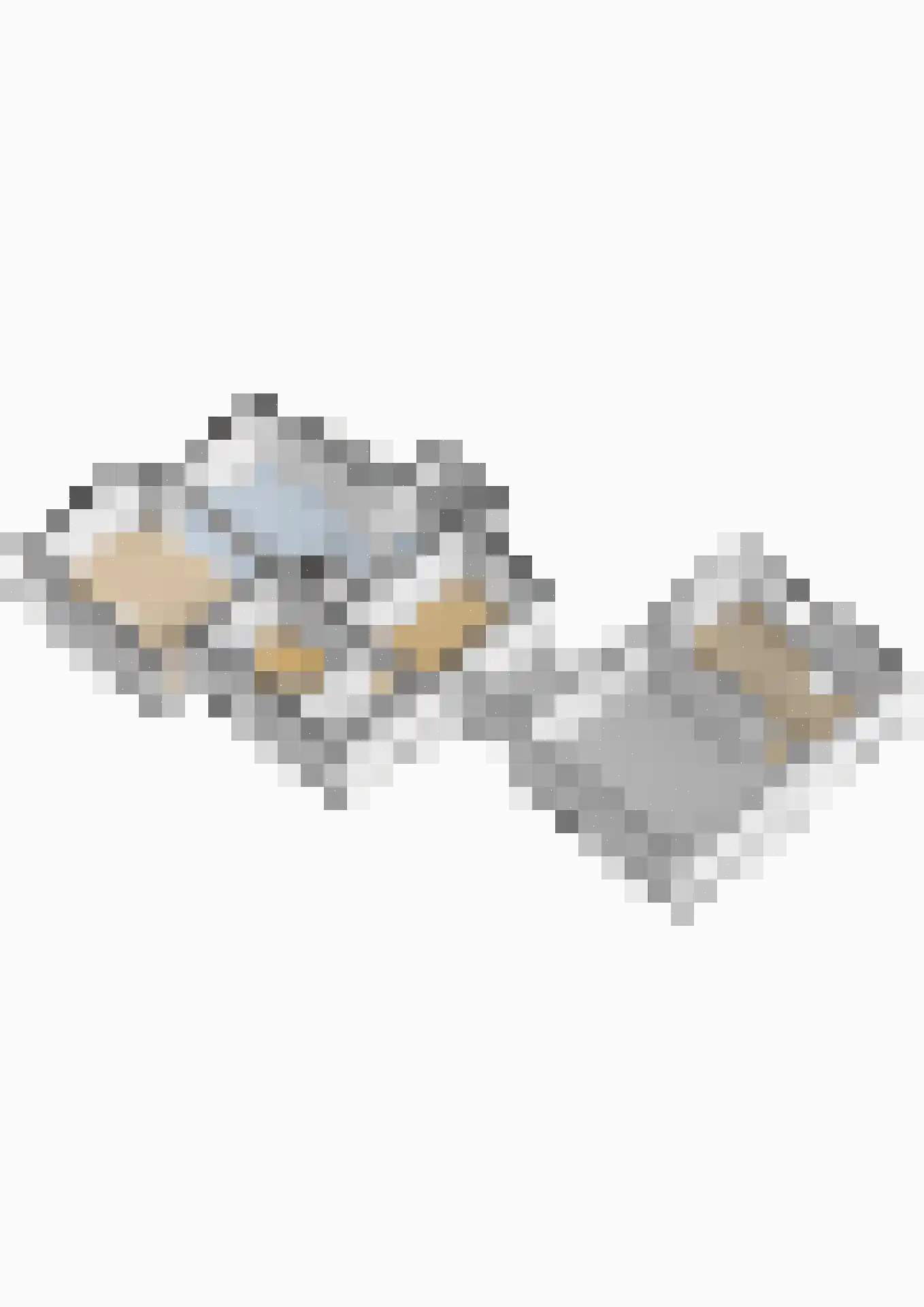 Voorlaan 5 Bleiswijk thumbnail 62
