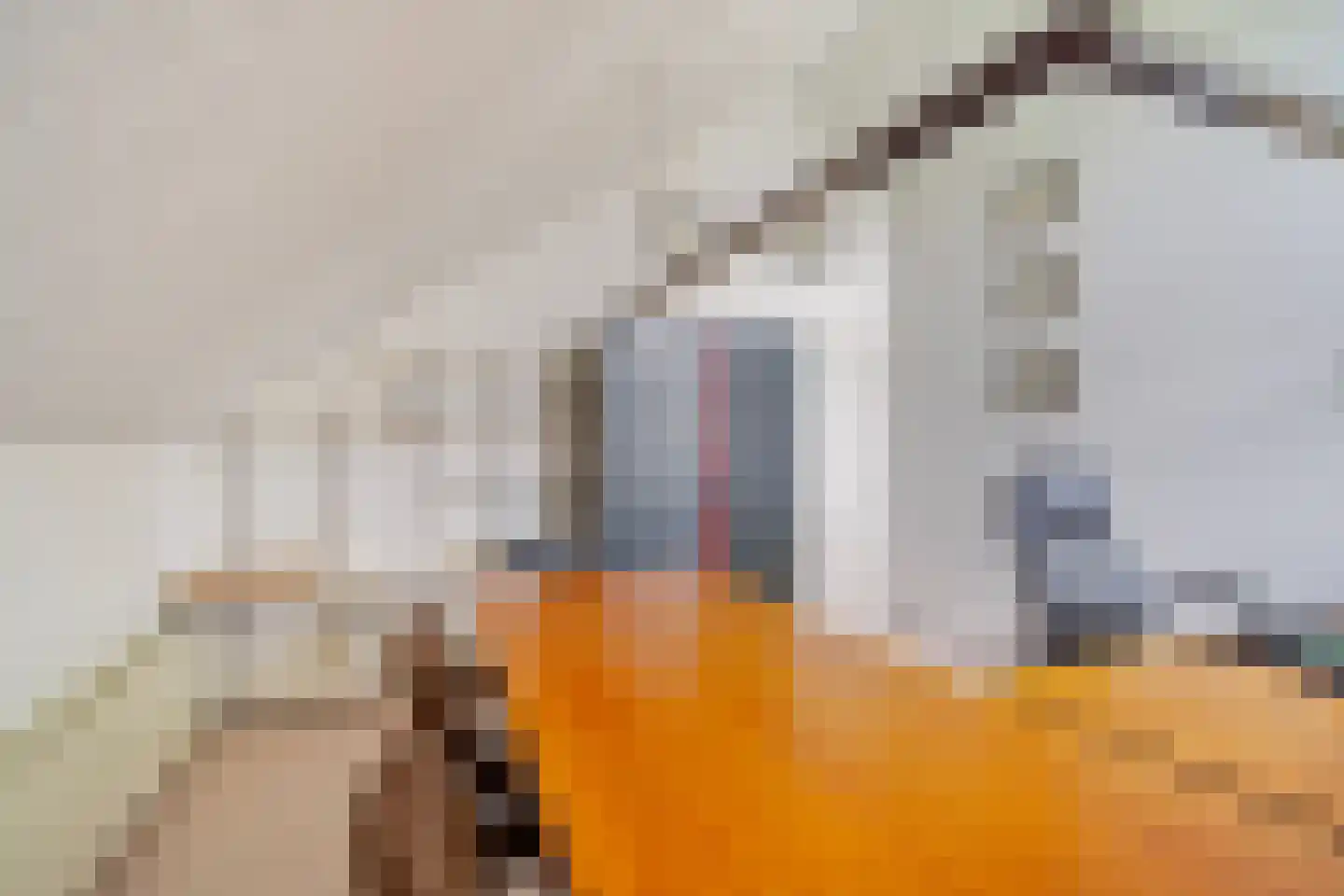 Voorlaan 5 Bleiswijk thumbnail 63
