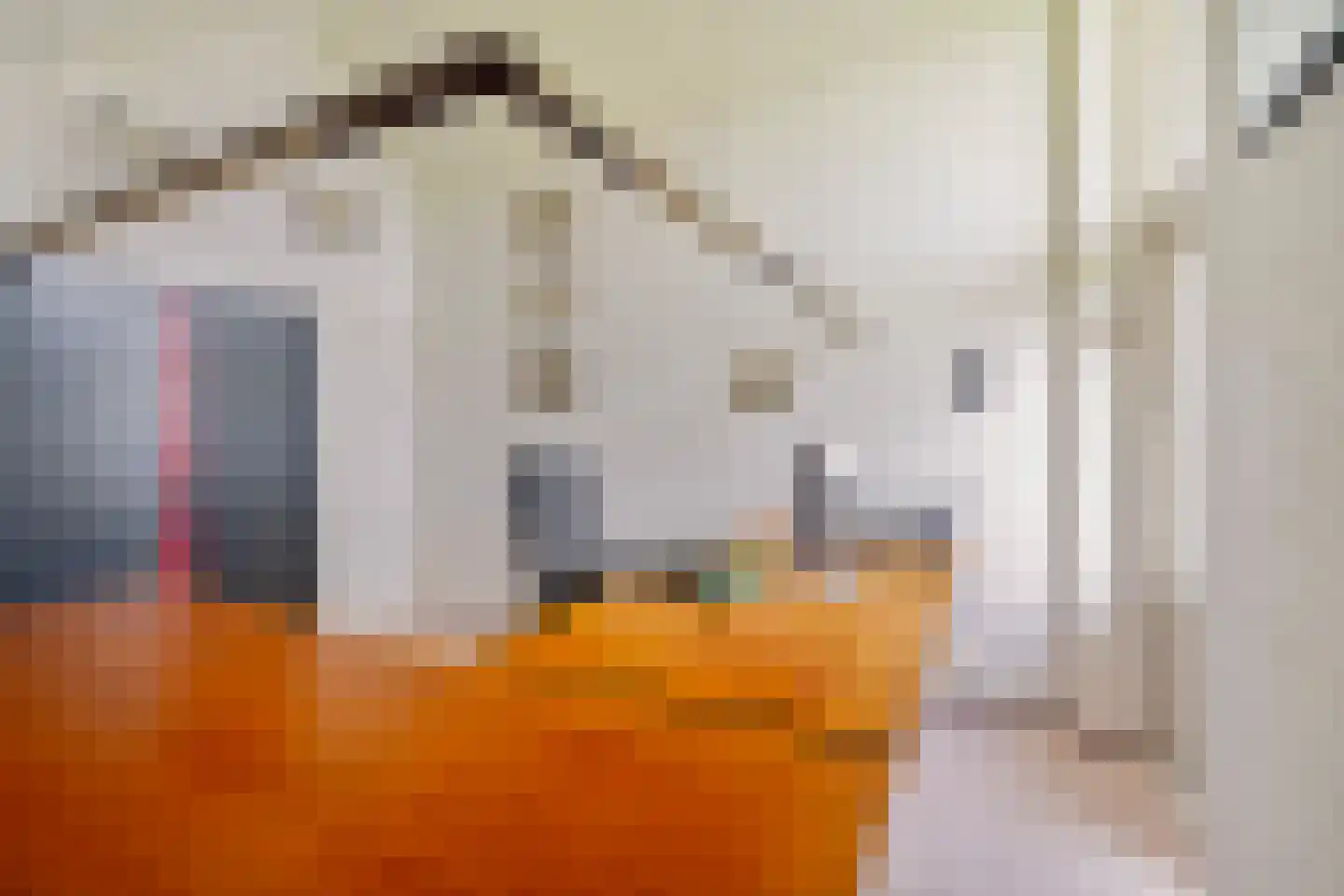 Voorlaan 5 Bleiswijk thumbnail 64
